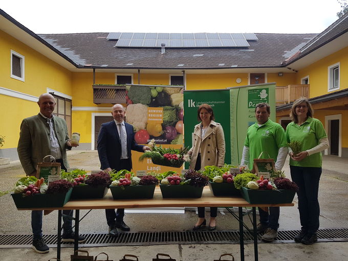 PK_Gemuese.jpg © Landwirtschaftskammer Oberösterreich PK_Gemuese.jpg © Landwirtschaftskammer Oberösterreich