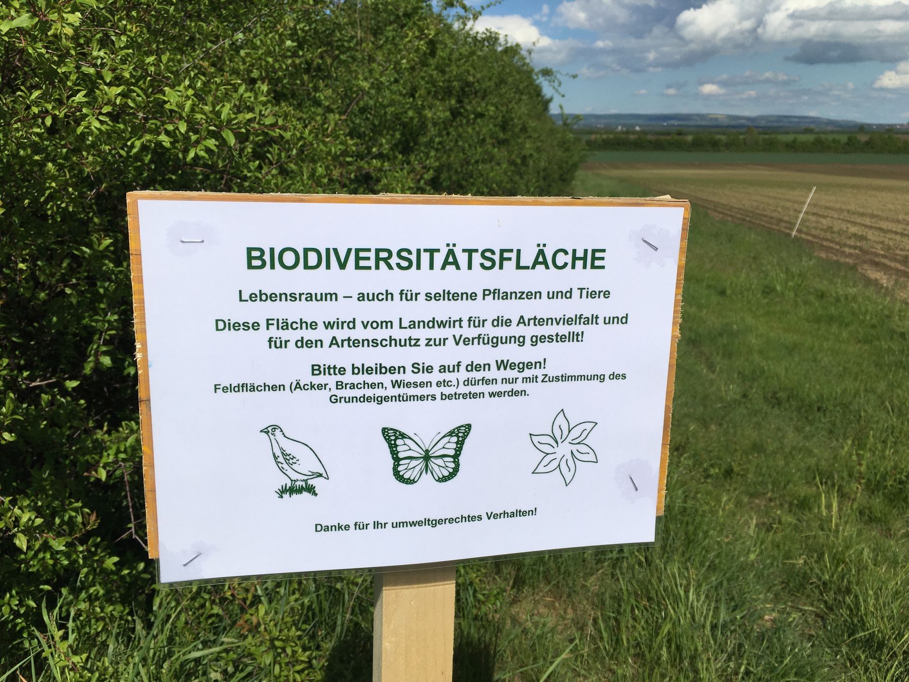 2021 Biodiversität Land um Laa  (24) Andrea Uhl LK NÖ.jpg