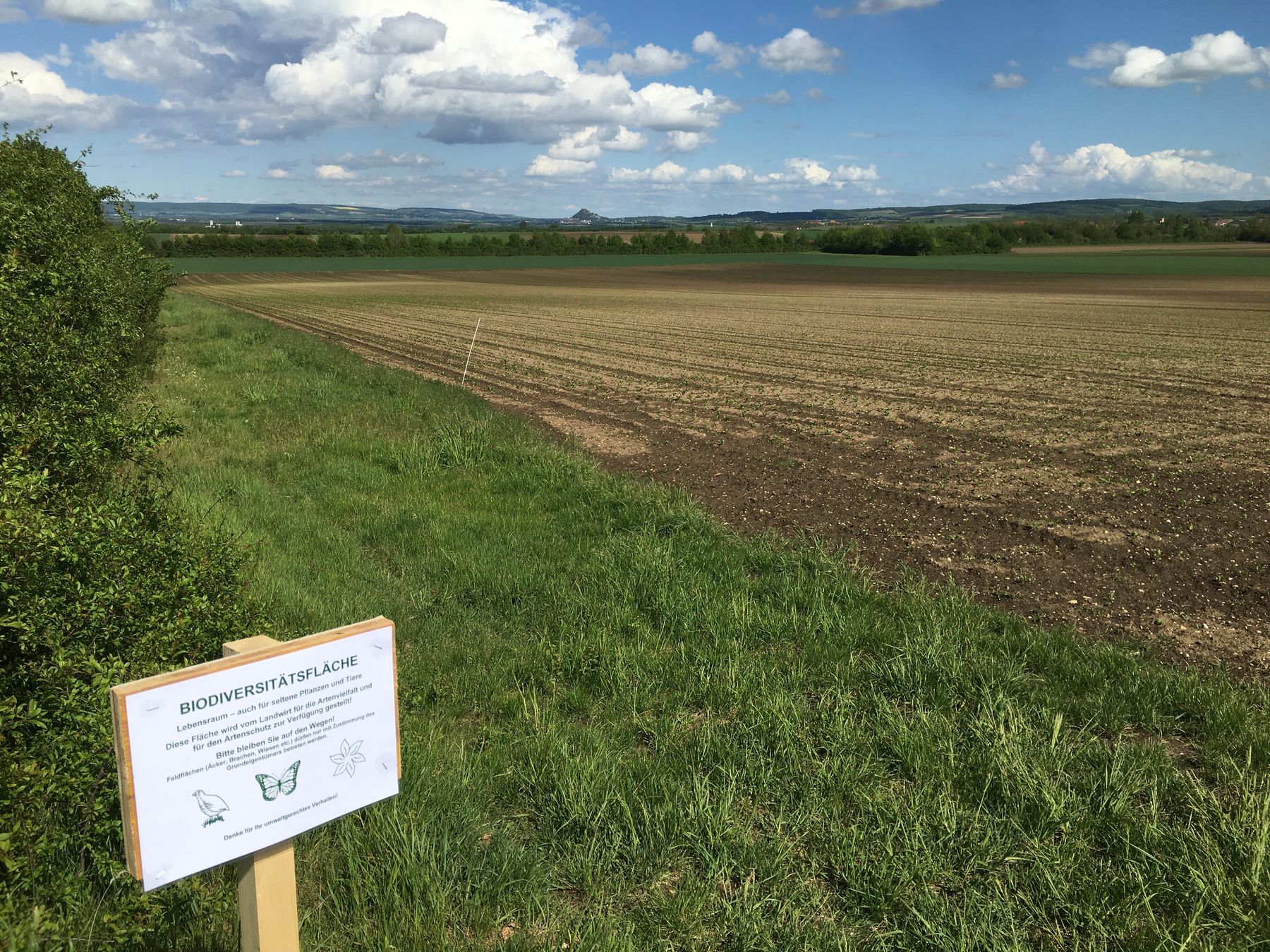 © Andrea Uhl © Andrea Uhl