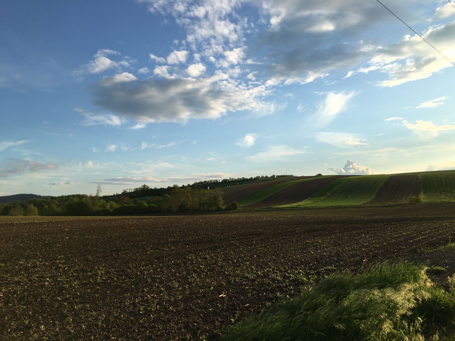 © Andrea Uhl © Andrea Uhl