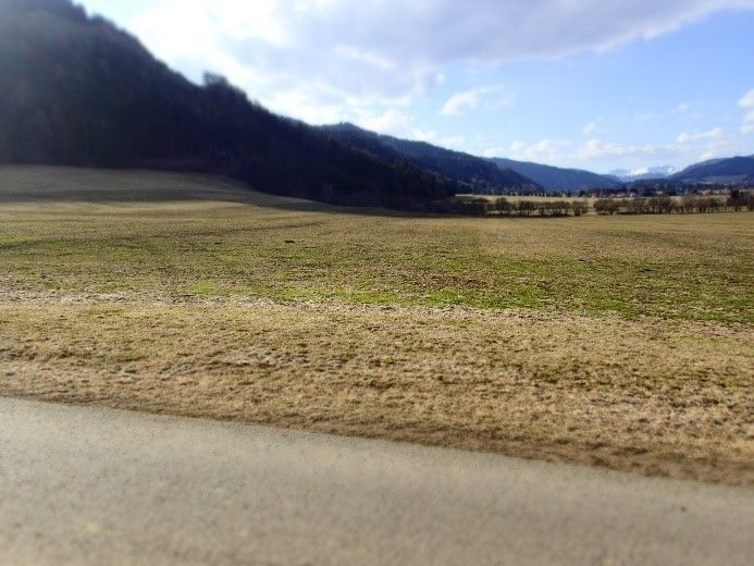 Intensiv geführte 4-5 Schnittwiese.jpg © W. Angeringer/LK Steiermark Intensiv geführte 4-5 Schnittwiese.jpg © W. Angeringer/LK Steiermark