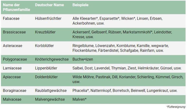 Beispielpflanzen.jpg © BBK Melk Beispielpflanzen.jpg © BBK Melk