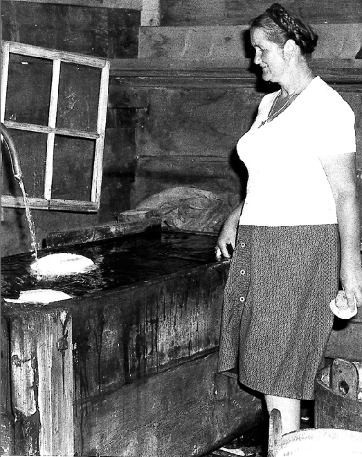 Almkäse.png © Archiv/Standl Almkäse.png © Archiv/Standl