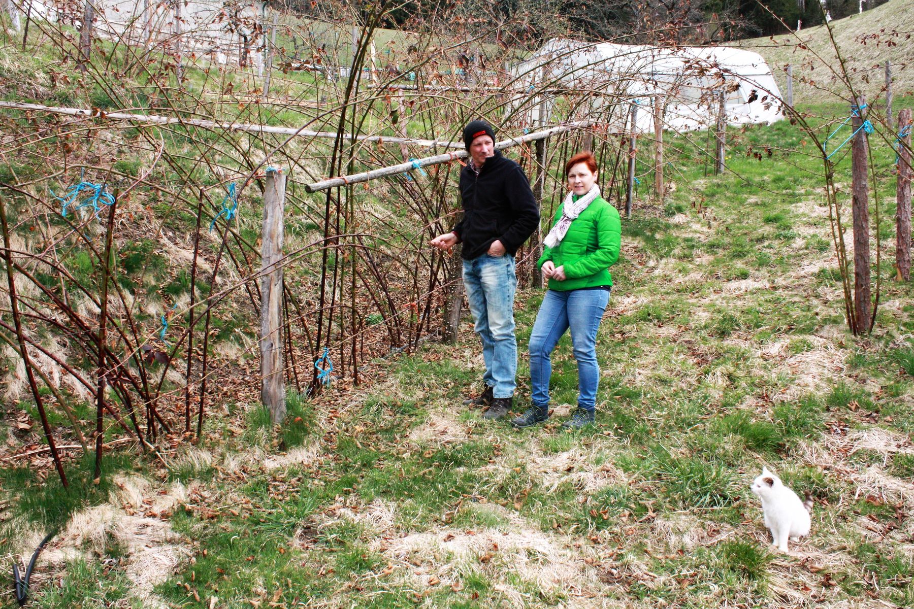 IMG_5402 (2).jpg © LK Kärnten/Stefan Kopeinig IMG_5402 (2).jpg © LK Kärnten/Stefan Kopeinig