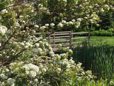 2021 Bienen im Garten willkommen © Andrea Uhl LK NÖ (14).jpg