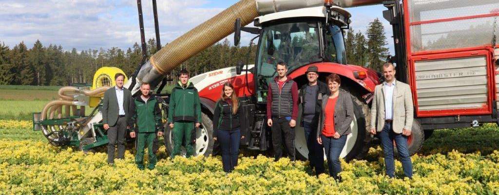 Schlüsselblumenfeld © Waldland Schlüsselblumenfeld © Waldland