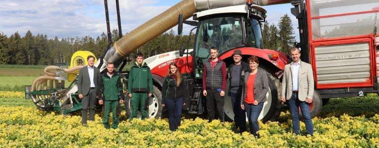 Schlüsselblumenfeld © Waldland Schlüsselblumenfeld © Waldland