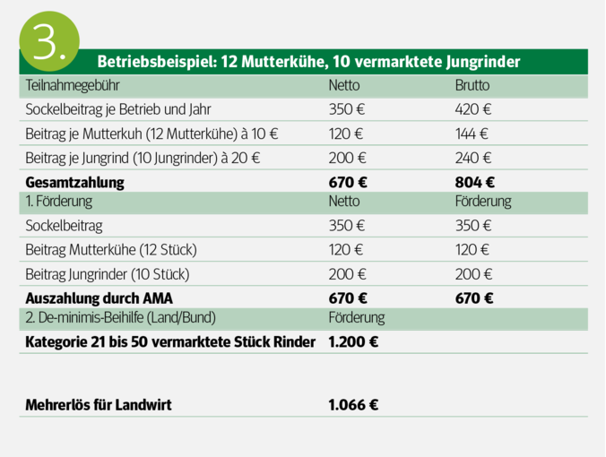 Qplus Rind – Freiwilliges Programm für  Rindermäster.png