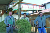Futterbrücke_1.jpg © LK Salzburg/Dürnberger