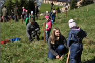 Wald1.png © Mooslechner