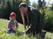 Wald2.png © Mooslechner