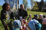 Wald6.png © Mooslechner