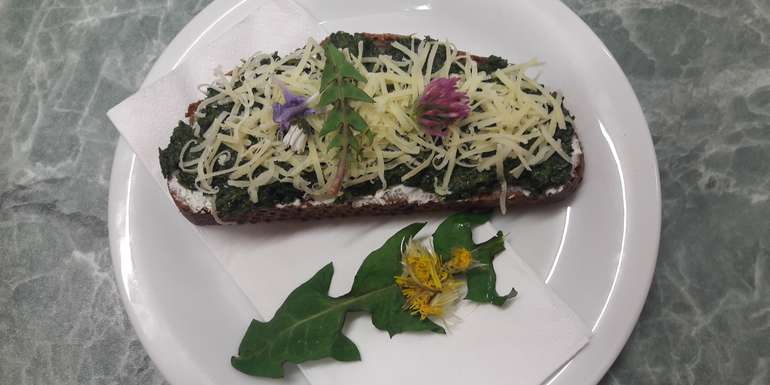 Löwenzahnpesto (c) C.Geißegger.jpg © Geißegger/LK Burgenland Löwenzahnpesto (c) C.Geißegger.jpg © Geißegger/LK Burgenland