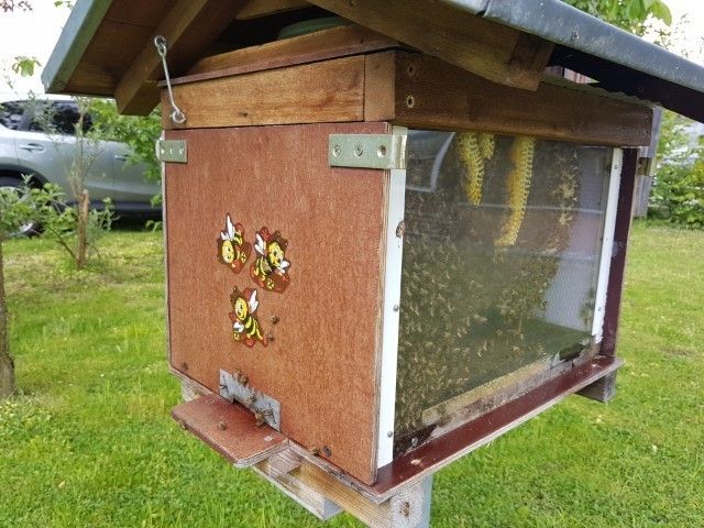 Pressegespräch Tag der Bienen
