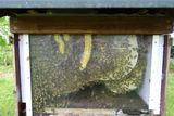© LK Vbg. und A. Serra © LK Vbg. und A. Serra