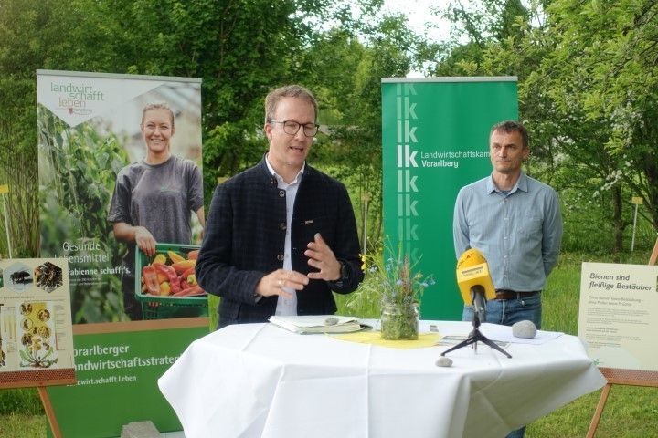 Pressegespräch Bienen © LK Vbg. und A. Serra