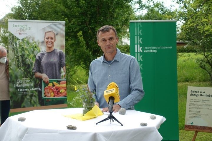 Pressegespräch Bienen © LK Vbg. und A. Serra