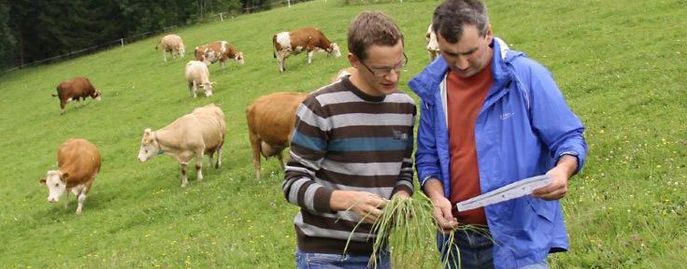 Header Bio Sommer Grünlandbewirtschaftung © LK Oberösterreich