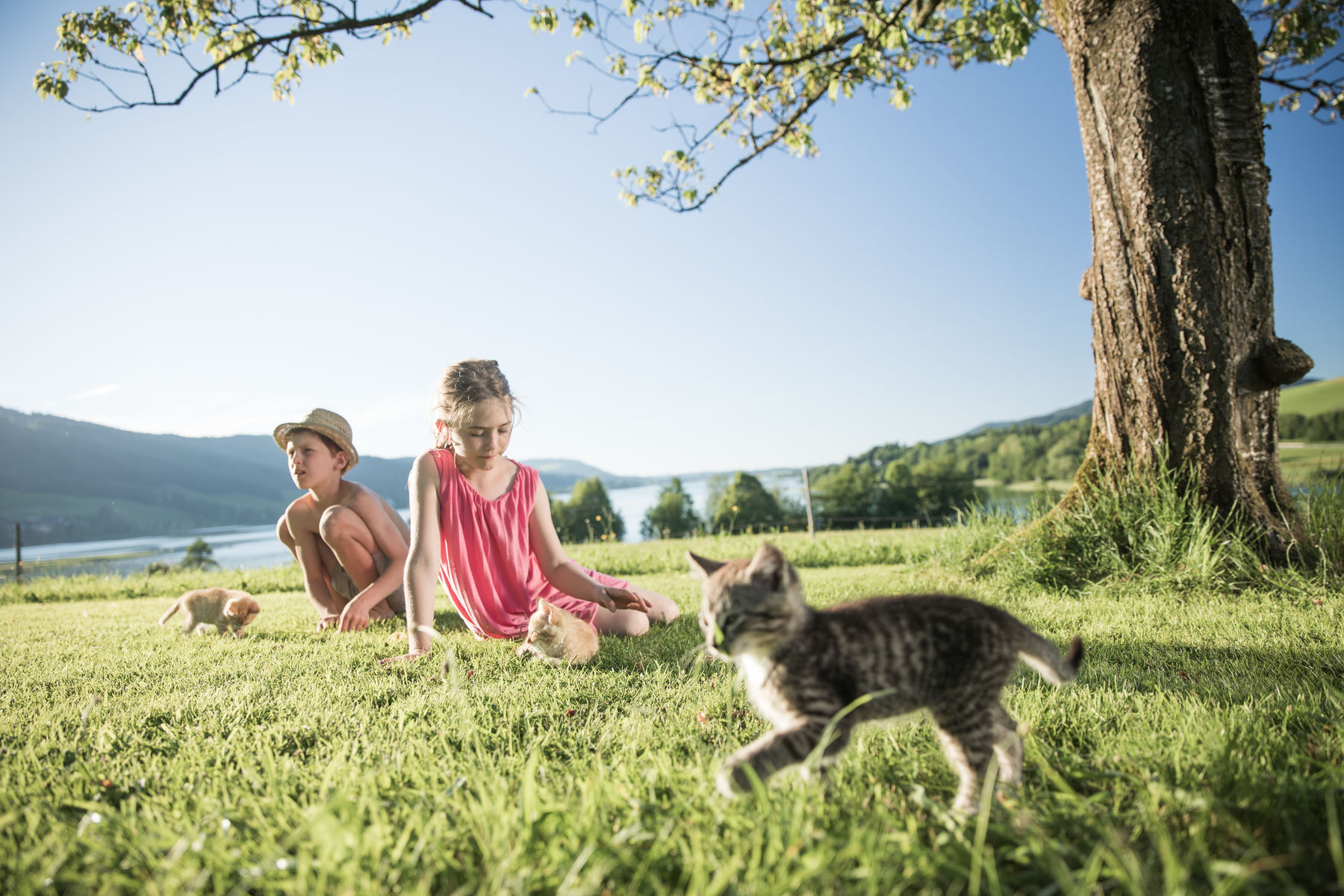 lto_kampagne_gaderer_salzkammergut(c)robert_maybach (23).jpg © Urlaub am Bauernhof, ©Robert Maybach lto_kampagne_gaderer_salzkammergut(c)robert_maybach (23).jpg © Urlaub am Bauernhof, ©Robert Maybach