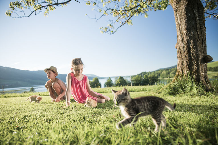 lto_kampagne_gaderer_salzkammergut(c)robert_maybach (23).jpg © Urlaub am Bauernhof, ©Robert Maybach