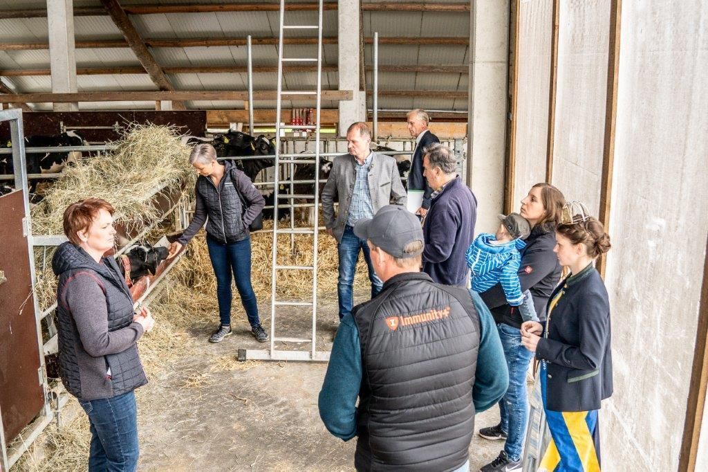 © Georg Pomassl/LK Niederösterreich © Georg Pomassl/LK Niederösterreich