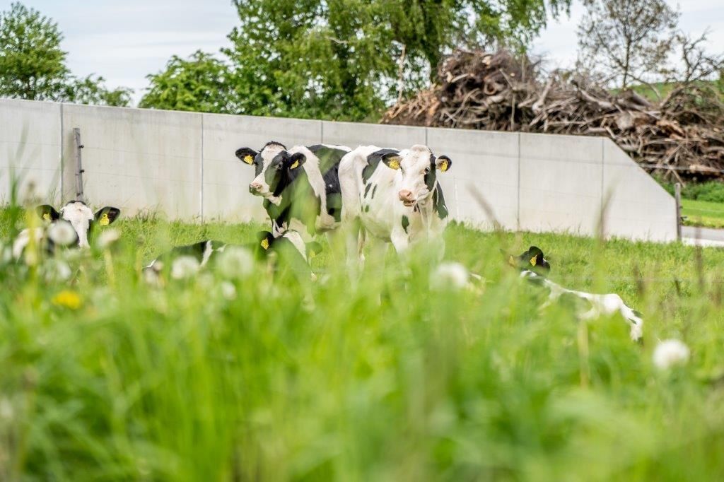 © Georg Pomassl/LK Niederösterreich © Georg Pomassl/LK Niederösterreich