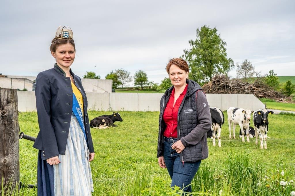© Georg Pomassl/LK Niederösterreich © Georg Pomassl/LK Niederösterreich