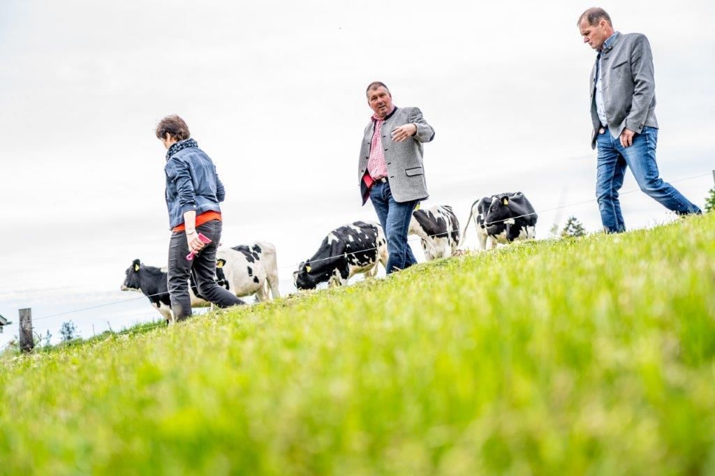 © Georg Pomassl/LK Niederösterreich © Georg Pomassl/LK Niederösterreich