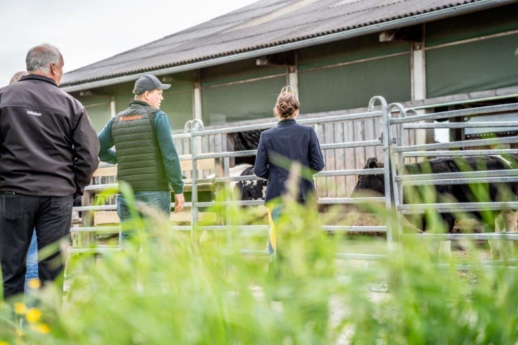 © Georg Pomassl/LK Niederösterreich © Georg Pomassl/LK Niederösterreich