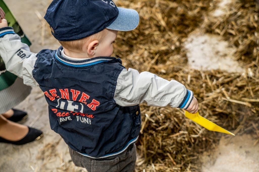 © Georg Pomassl/LK Niederösterreich © Georg Pomassl/LK Niederösterreich