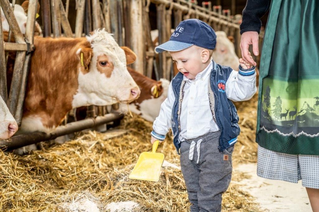 © Georg Pomassl/LK Niederösterreich © Georg Pomassl/LK Niederösterreich