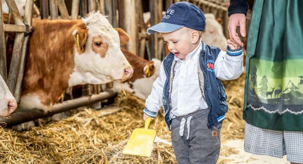 Weltmilchtag 2021 © Georg Pomassl/LK Niederösterreich Weltmilchtag 2021 © Georg Pomassl/LK Niederösterreich
