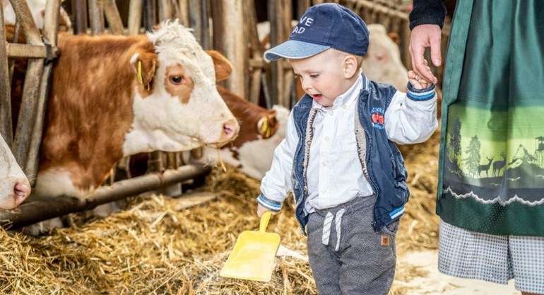 Weltmilchtag 2021 © Georg Pomassl/LK Niederösterreich Weltmilchtag 2021 © Georg Pomassl/LK Niederösterreich