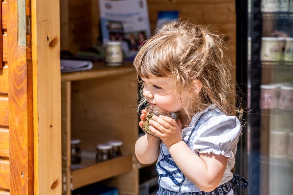 © Georg Pomassl/LK Niederösterreich © Georg Pomassl/LK Niederösterreich