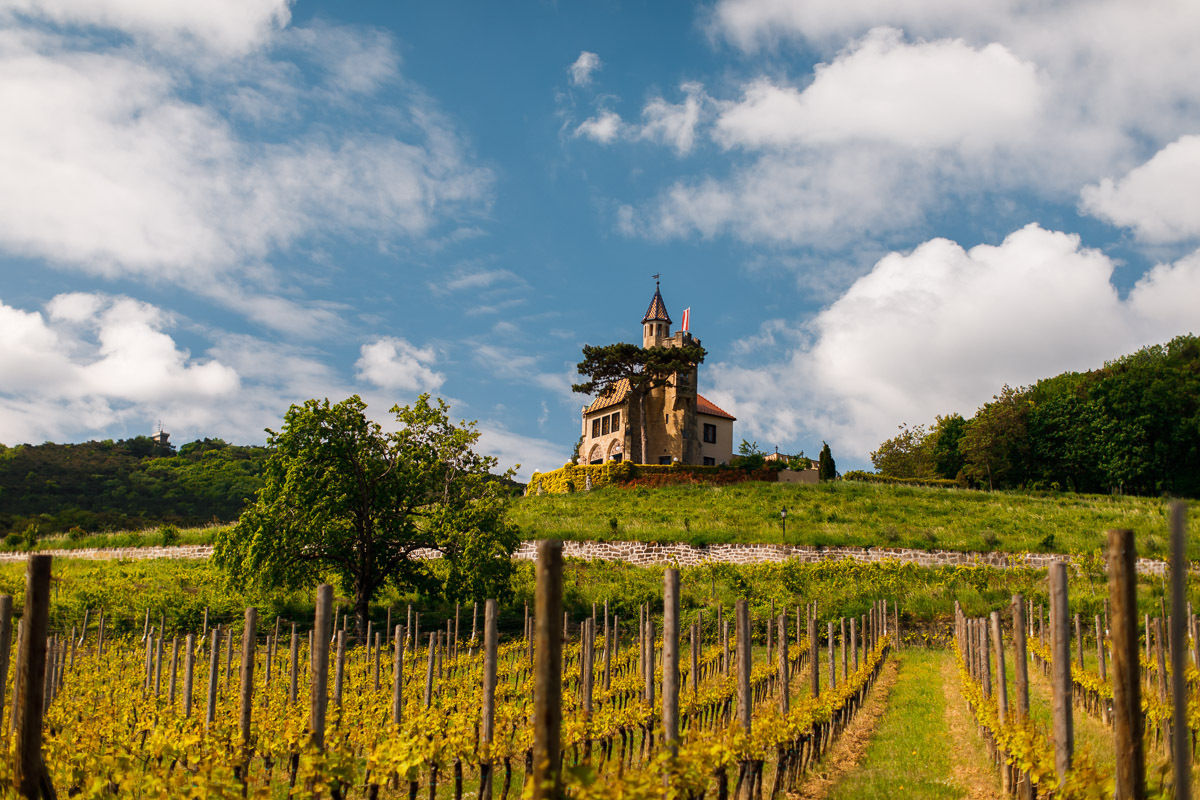 PWK 2021_1.jpg © Adrian Almasan PWK 2021_1.jpg © Adrian Almasan