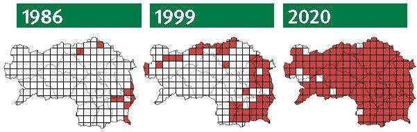 Grafik zur Ausbreitung des Fischotters in der Steiermark seit 1986