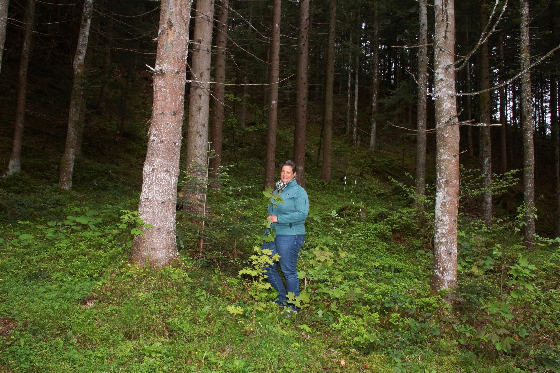 sb22_mb_wald.jpg © Gudrun Dürnberger sb22_mb_wald.jpg © Gudrun Dürnberger
