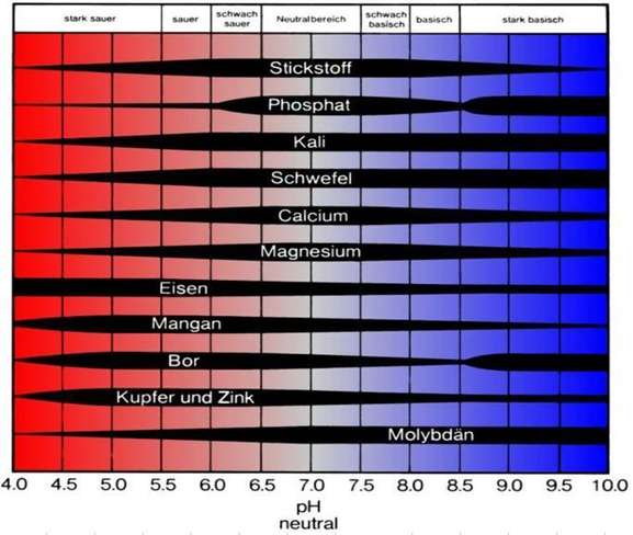 Artikelserie Düngung Grafik pH-Ansprüche ausgewählter  Nährstoffe.jpg