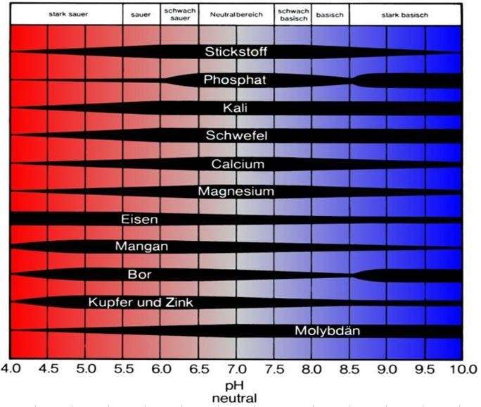 Artikelserie_Düngung_Grafik_pH-Ansprüche_ausgewählter _Nährstoffe.jpg © verändert nach yara.com