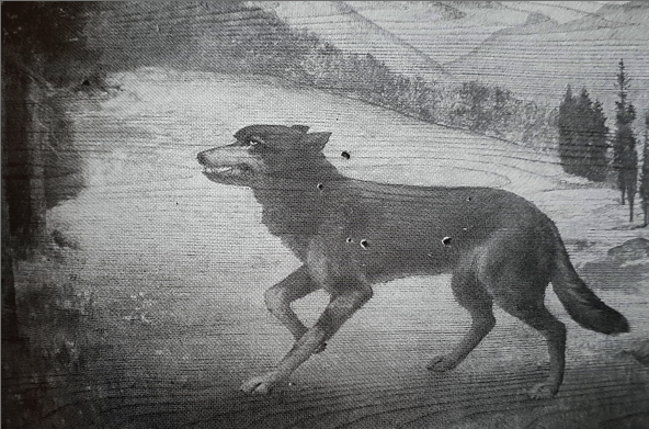 Wolf.png Wolf.png