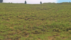 Früher Auftrieb: Grün bis zu den Herbstmonaten.png Früher Auftrieb: Grün bis zu den Herbstmonaten.png