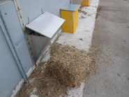 Bioschweine Futterraufe.jpg © LK Kärnten/Dominik Sima Bioschweine Futterraufe.jpg © LK Kärnten/Dominik Sima