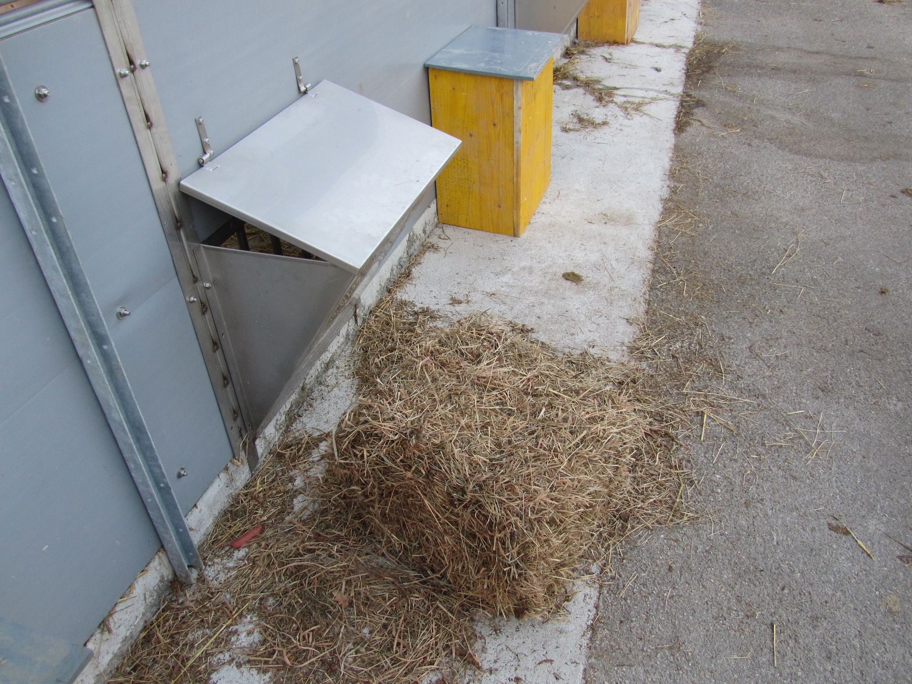 Bioschweine Futterraufe.jpg © LK Kärnten/Dominik Sima Bioschweine Futterraufe.jpg © LK Kärnten/Dominik Sima