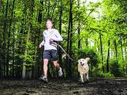 Sparzieren im Wald mit Hund