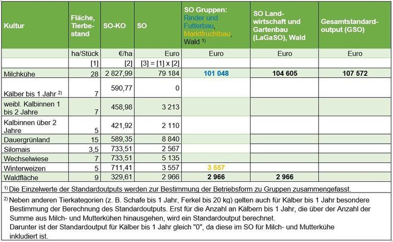 Beispiel:  Klassifizierung eines rinderhaltenden Betriebes in Salzburg © Gahleitner, BAB Beispiel:  Klassifizierung eines rinderhaltenden Betriebes in Salzburg © Gahleitner, BAB