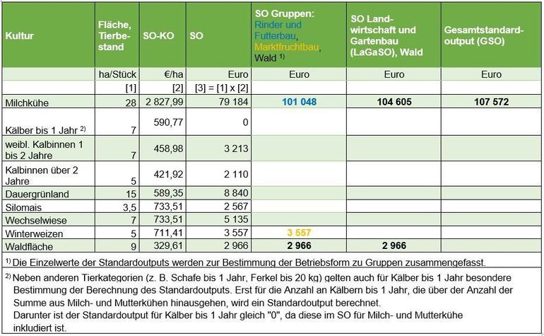 Beispiel:  Klassifizierung eines rinderhaltenden Betriebes in Salzburg