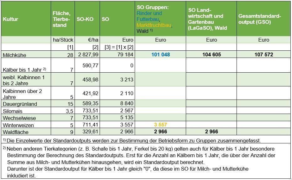 Beispiel:  Klassifizierung eines rinderhaltenden Betriebes in Salzburg