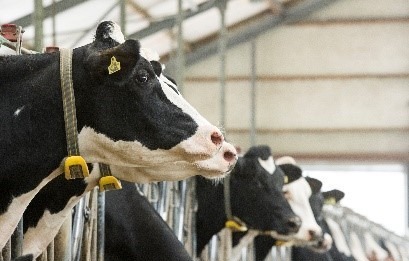 Innovationfarm.jpg © BMLRT/Paul Gruber Innovationfarm.jpg © BMLRT/Paul Gruber