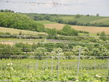 Betriebsausflug am Jakobsweg & G-G-G © Andrea Uhl LK NÖ