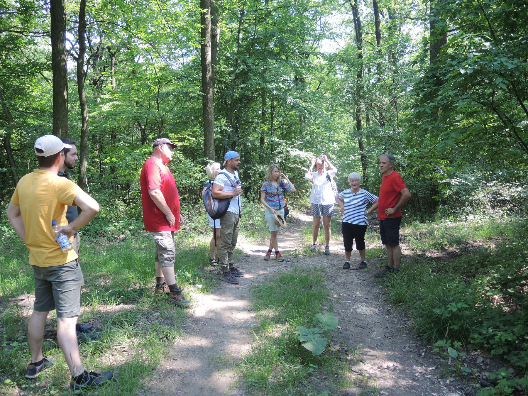 © Andrea Uhl LK NÖ © Andrea Uhl LK NÖ